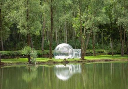 bubble tent tree 2 | Tichuan