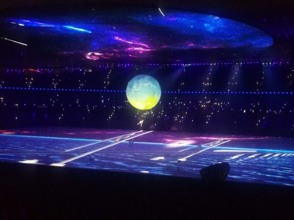Aerial Acrobatic Balloons - Image 4