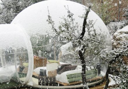 Inflatable Bubble Tent