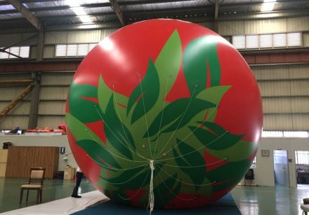 5m Kazakhstan B1 Group Helium Advertising Balloon