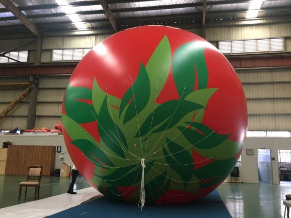 5m Kazakhstan B1 Group Helium Advertising Balloon - Image 2